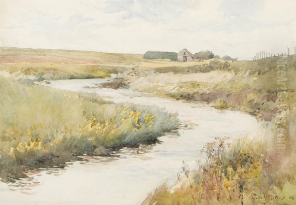 Pastoral View Of A Country Stream. - view 1
