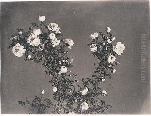 Album Of Fifty-nine Studies Of Flowers, Gardens And Rural Views by Gertrude Jekyll