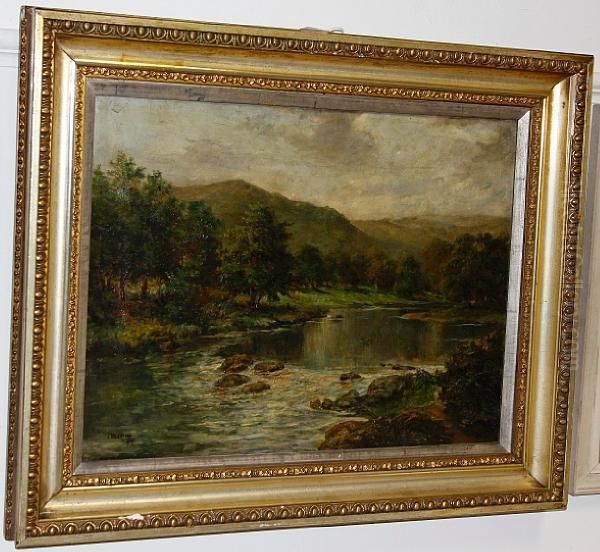 River Landscape - view 1
