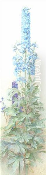 Delphiniums - view 1