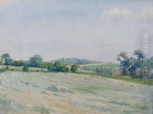'just A Hayfield