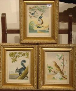 Song Thrush, Grey Squirrel And Blue Tits by H. Jenkins