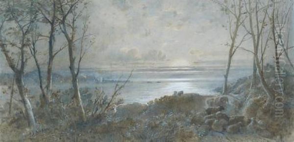 The Flock At Sunset - view 1