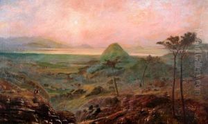 Landscape, Qld