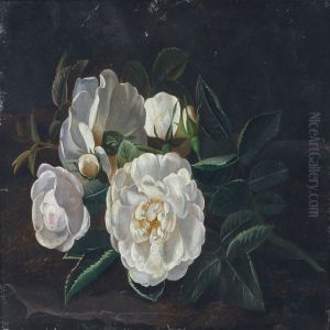 Still Life With White Roses