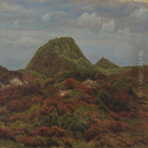 Heather Landscape With Dunes - view 1