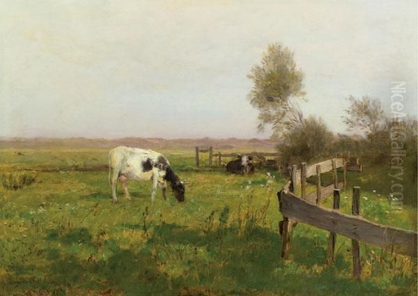Weide Bei Cayeux - view 1