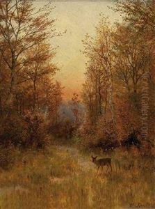 "rehIn Waldlichtung"