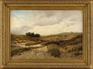 Dunenlandschaft Aus Sudholland. Dunenlandschaft Aus Sudholland.