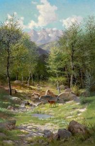 Reh Auf Waldlichtung