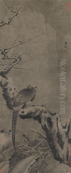 Pheasant - view 1