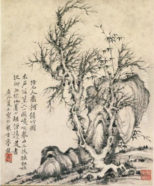 Old Tree, Bamboo And Rock - view 1