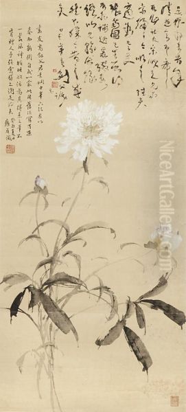Peonies - view 1