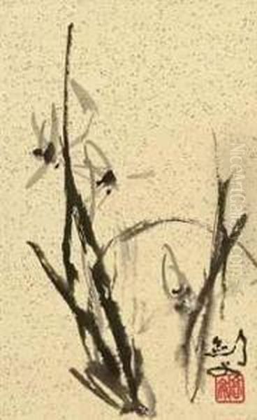 Orchid - view 1