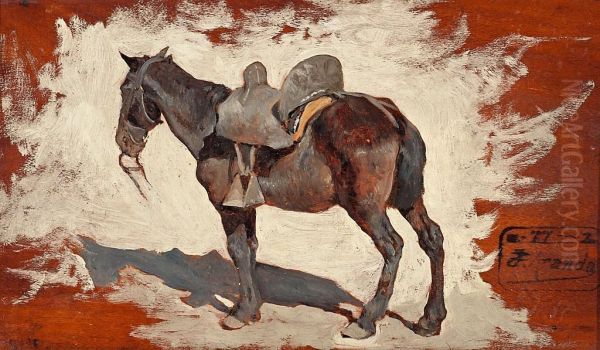 Caballo - view 1