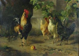 "gallos Y Gallinas"