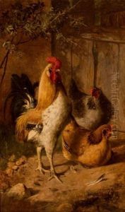 Gallinero