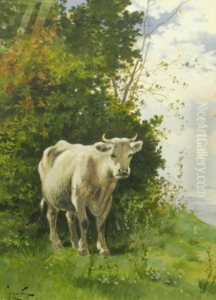 "boulean" - view 1