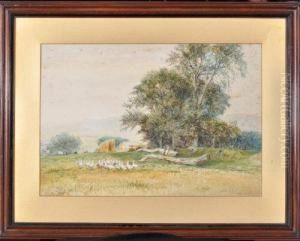 "tosson, A Pastoral" - A View Near Rothbury, Northumberland by Robert Jobling