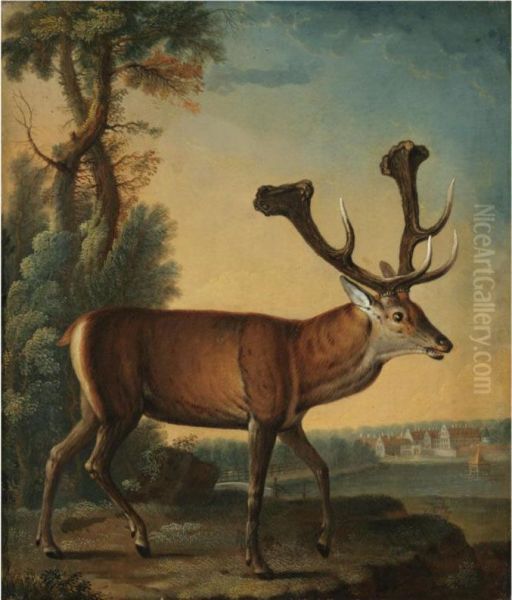 A Stag In A Landscape - view 1