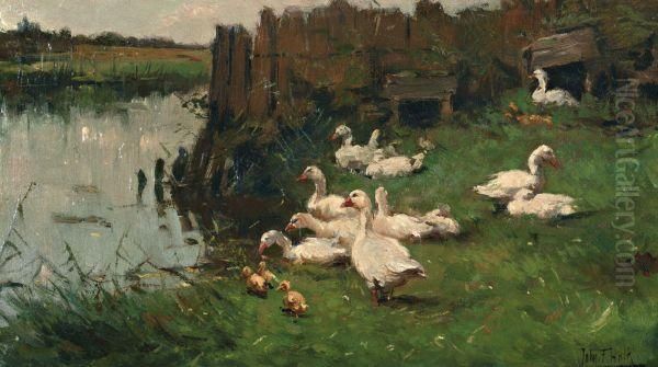Ganzenfamilie In Het Gras Aan De Waterkant - view 1
