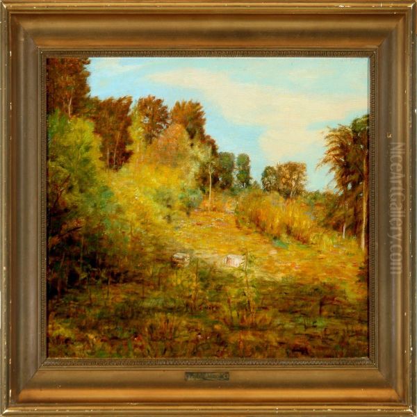 Danish Autumn Landscape From Tisvildeleje - view 1