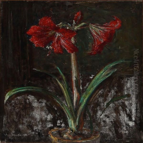 An Amaryllis - view 1