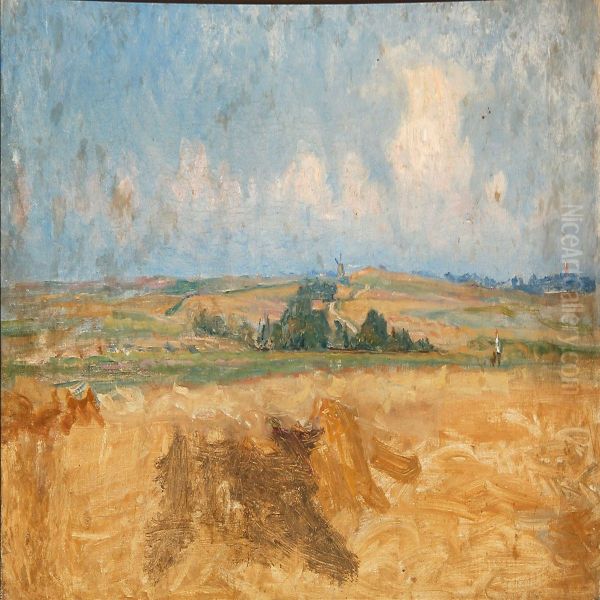 Field Landscape - view 1