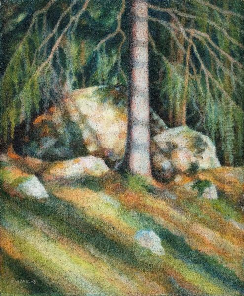 Rocks In A Forest - view 1