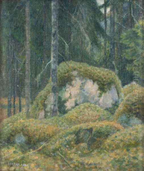 Skogsmotiv - view 1