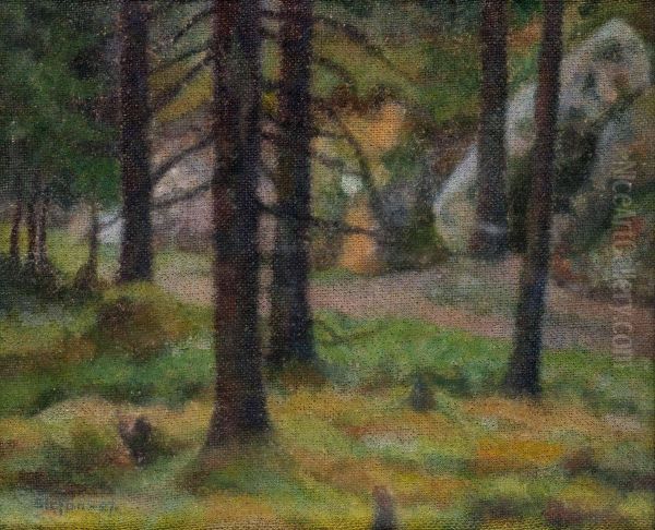 Skogsglanta - view 1