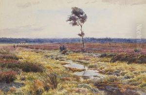 Landschaft Mit Bluhender Heide