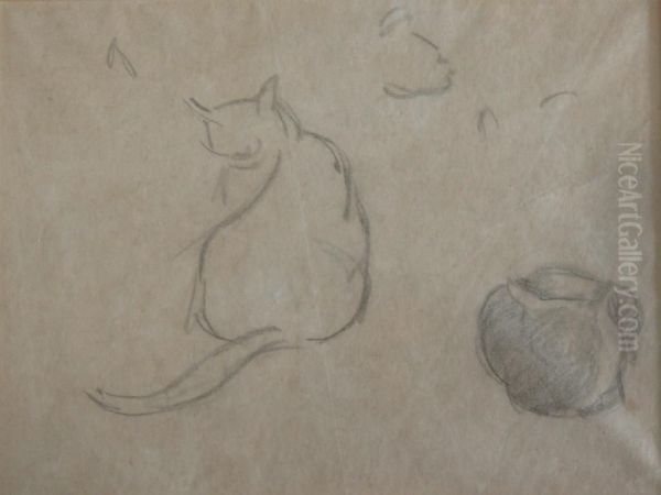 Cat Studies - view 1
