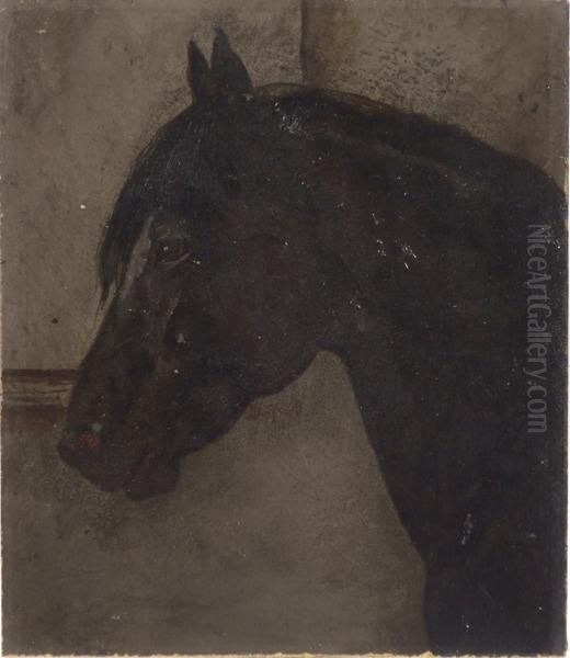 Black Horse In Stable - view 1