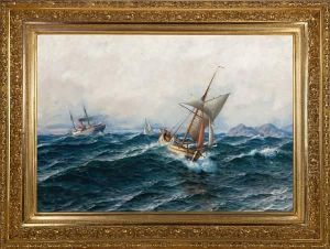 Skipstrafikk Utenfor Den Norske Kyst by Hjalmar Johnsen