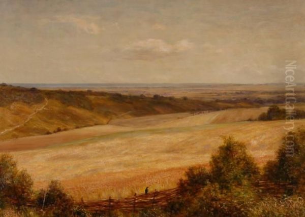 Extensive Landscape - view 1