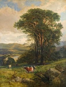 Cows In Rough Pasture by Charles Edward Johnson