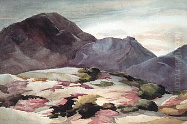 Hills And Verbana - view 1