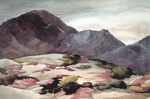 Hills And Verbana