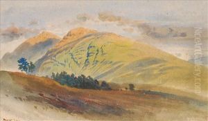 Scotland by Harry John Johnson