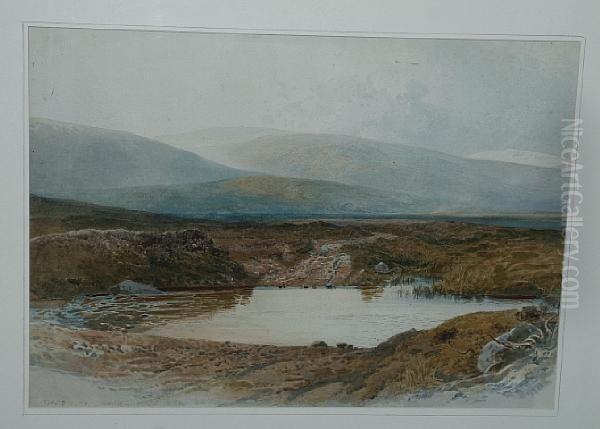 Dartmoor - view 1