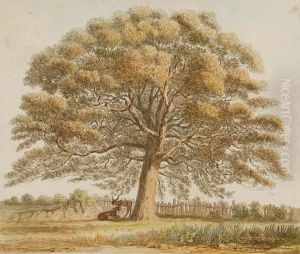 Oak South Of Langley Churchyard, Norfolk by Isaac Johnson