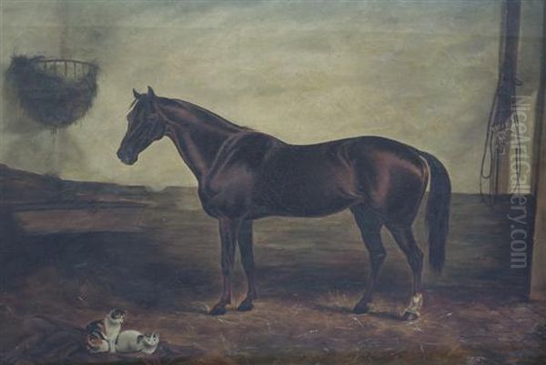 Portrait Of A Horse In A Stable With Two Cats - view 1