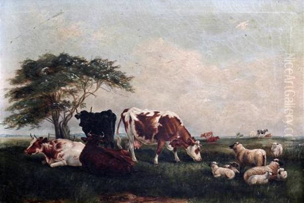 Cattle And Sheep In An Open Landscape - view 1