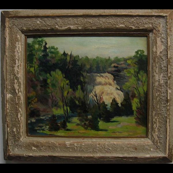 Jones Falls - view 1