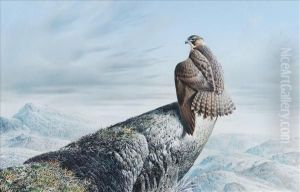 Tundrafalcon, Lake Harbour, Baffin Island