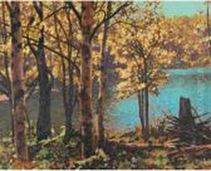 The Golden Glade