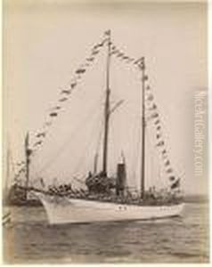 Steam Yachts And Launches, Albumen Prints Of"golden Rod", "satanella", "alcedo" And "the Senator" Steam Yachts And Launches, Albumen Prints Of"golden Rod", "satanella", "alcedo" And "the Senator"