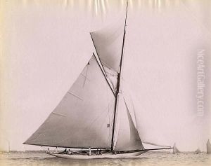 Racing Yachts, Albumen Prints Of"wasp","gloriana At Finish" Goelet Cup Race, 1891 And "bedouin".