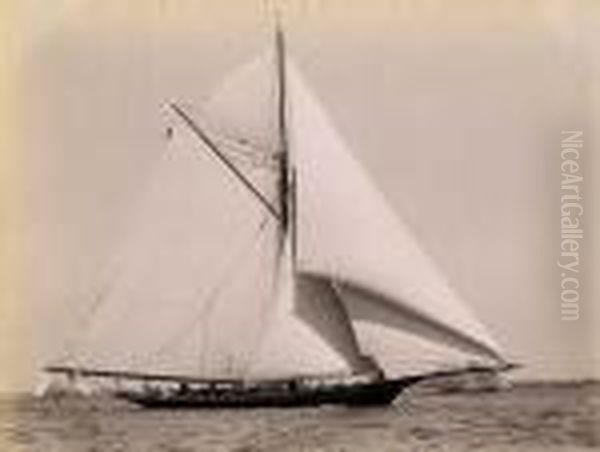 Yacht Racing - view 1